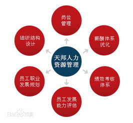 鄭州社保公積金代理、勞務派遣及人事外包服務市場概況